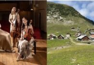 Palchi nei Parchi sale sull’Alpe di Ugovizza con l’Allinea String Quartet