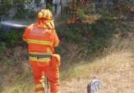 Incendi, ripartono le fiamme a Illegio: strada chiusa. Sull’Amariana ancora Canadair ed elicottero