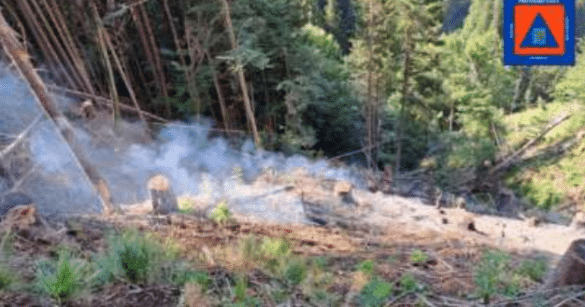 Nuovo incendio a Cercivento, elicottero in azione: rogo sotto controllo