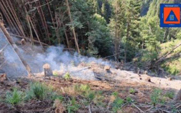 Nuovo incendio a Cercivento, elicottero in azione: rogo sotto controllo