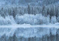 Con “Foresta Tour” la certificazione PEFC fa tappa in Friuli