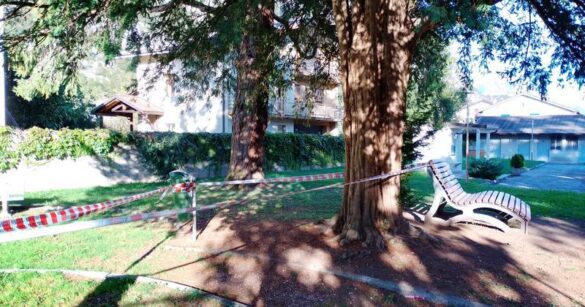 Intervento dei Vigili del fuoco su un grosso nido di calabroni nel parco giochi di Villa Santina