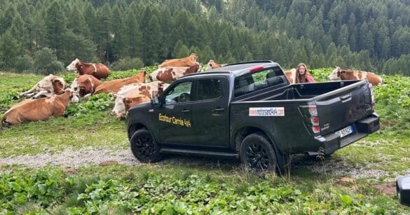 Ecotour Carnia 4×4: oltre 300 persone in quota per una montagna senza barriere