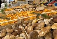 Gastronomia e natura a Forni di Sopra con la tradizionale “Festa dei Funghi”