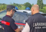 Controlli nell’agricoltura in provincia: sanzioni per oltre 50mila euro, quattro imprenditori denunciati