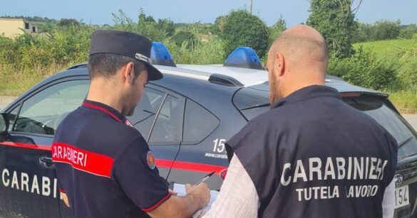 Controlli nell’agricoltura in provincia: sanzioni per oltre 50mila euro, quattro imprenditori denunciati