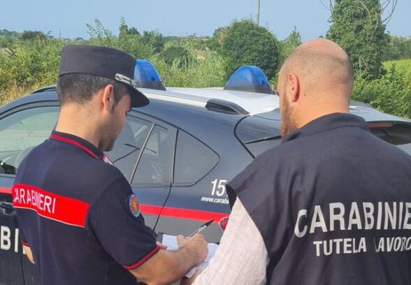Controlli nell’agricoltura in provincia: sanzioni per oltre 50mila euro, quattro imprenditori denunciati