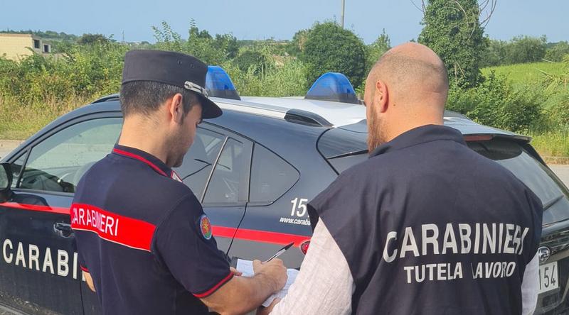 Controlli nell’agricoltura in provincia: sanzioni per oltre 50mila euro, quattro imprenditori denunciati