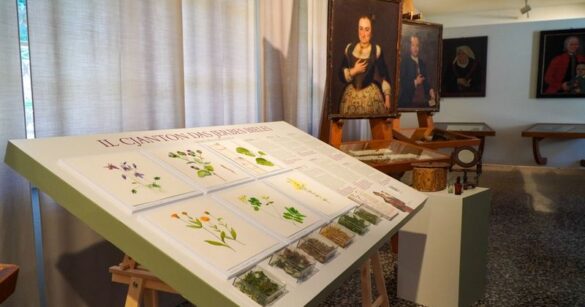 Erbe da scoprire e storie da raccontare al Museo Carnico di Tolmezzo