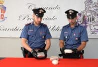 I Carabinieri trovano un chilo e mezzo di droga nascosto tra gli alberi