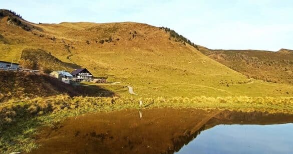 Alpeggi e cucina di Sauris: il progetto “gustoCarnia” fa tappa in Val Lumiei
