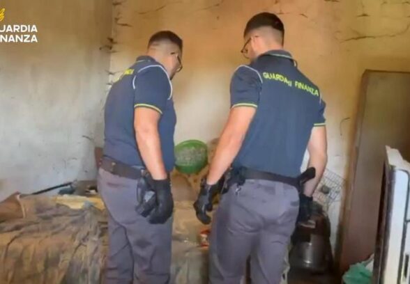 VIDEO – Individuate a Forgaria due serre per la coltivazione di marijuana. Sequestrati 23 chili