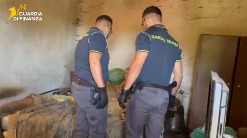 VIDEO – Individuate a Forgaria due serre per la coltivazione di marijuana. Sequestrati 23 chili