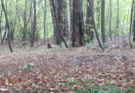 Festa di fine stagione a Stolvizza di Resia tra camminate, visite ai musei e tradizioni popolari