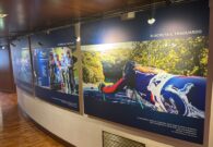 Barcolana Ski in mostra prima di raddoppiare: dopo il mare, la sfida si sposta a Tarvisio