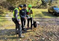 VIDEO – Soccorso in montagna, esercitazione delle unità cinofile della Guardia di Finanza nel Tarvisiano