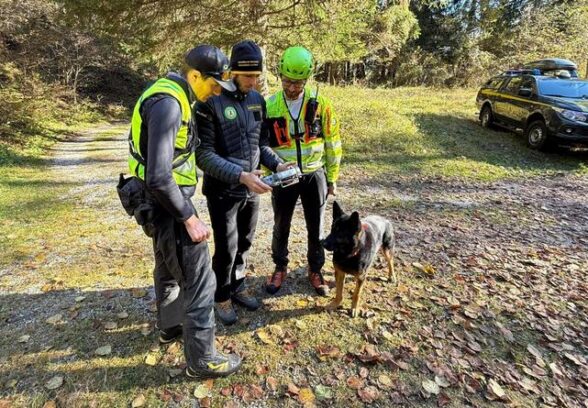 VIDEO – Soccorso in montagna, esercitazione delle unità cinofile della Guardia di Finanza nel Tarvisiano