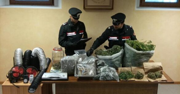 Serre professionali e 9 chili di marijuana vicino al lago di Verzegnis: arrestato un uomo