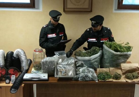 Serre professionali e 9 chili di marijuana vicino al lago di Verzegnis: arrestato un uomo