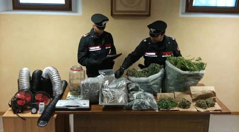 Serre professionali e 9 chili di marijuana vicino al lago di Verzegnis: arrestato un uomo