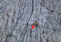 Alpinista muore cadendo per 50 metri da una parete nel gruppo dello Jôf Fuart